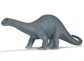 Apatosaurus	