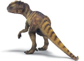 Allosaurus	