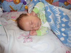 сладкие сны