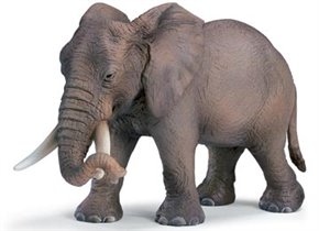 Африканская Слониха
