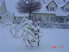 пасха в снегу