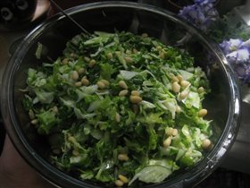 Свежий салат с кедровыми орешками