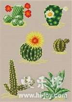Some cacti 