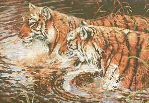 тигры от Anhor