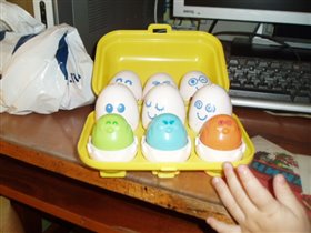 яйца томи