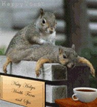 squirrel_spa