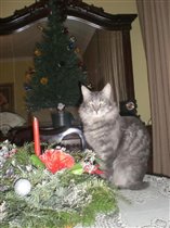 Васенька и встреча 2008 г.