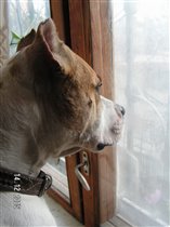 В курсе всех событий за окном