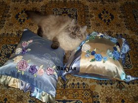 Две подушки и Катюшка