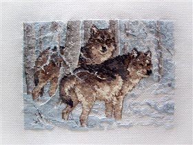 Winter Wolves. Dimensions