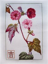 Вьюнок. Золотое Руно