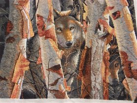 Guardian. Dimensions