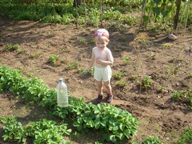 Юный садовод-огородник.