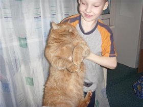 Богдан и кот Гарфилд