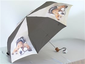 L515 R.Hale Minilite2