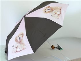 L515 R.Hale Minilite2