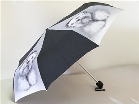 L515 R.Hale Minilite2