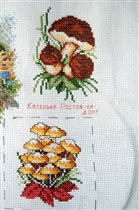 робин Грибная полянка