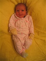 Лизе 1 неделя