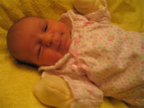 Лизе 1 неделя