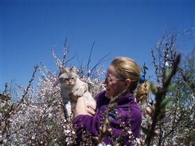 Моя мама и моя кошка  на фоне цветущей вишни и синего неба.. жизнь это СКАЗКА!!!