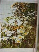 11 июня 2008 г.