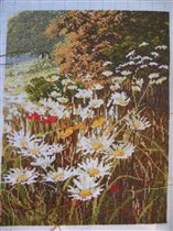 8 августа 2008 г.