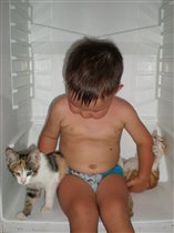Лето!! Жарко!! Решили с котятами в холодильнике спрятаться ))
