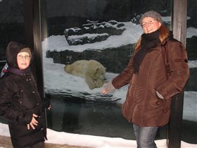 в зоопарке... в такой мороз (-11) только бедым медведям и волкам там хорошо было:) 