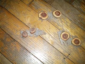 деревянные навощенные пуговицы разного размера, разные породы дерева.