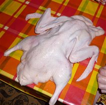 Вот такая была уточка.