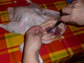 Начинаем снимать кожу с шеи, аккуратно подрезая, чтобы не прорезать шкуру утки