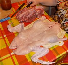 Получается вот такая кожа с крыльями и ногами. А туловище отдельно.