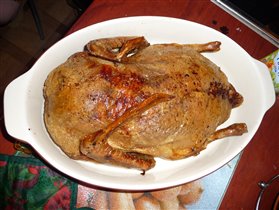 Вот такая красавица у нас получилась. 