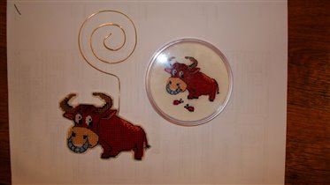 символ 2009 года