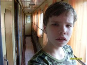 В поезде в Одессу на дельфинотерапию