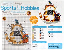 Sports and hobbies - Photographer cat