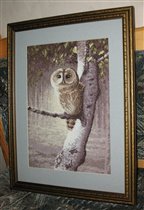 'Ночной дозорный'