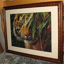 'ожидающий тигр' Кастом Крафтс