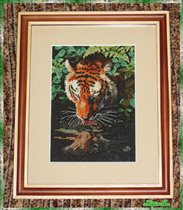 Tiger Reflection (Dimensions)