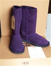 UGGs violet
