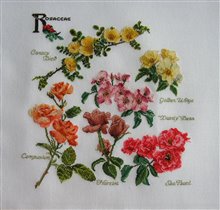 'Rosaceae' Thea Gouverner