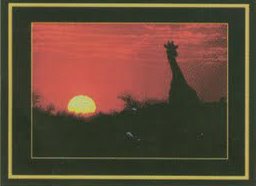 226. На закате