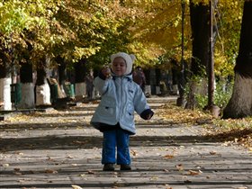 Осенние деньки