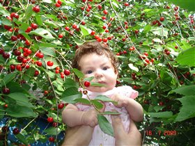 конфетка с вишней