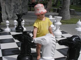 Играем в шахматы