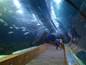  Один из аквариумов в Валенсии