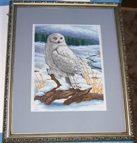 03861 The Stately Snowy Owl