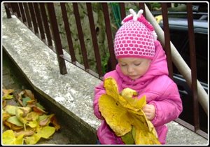 Шапочка за осень-зиму