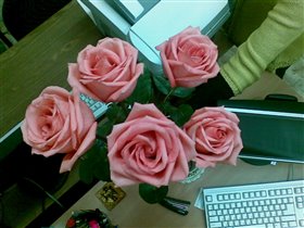 Розы на день рождения 07.10 на работе